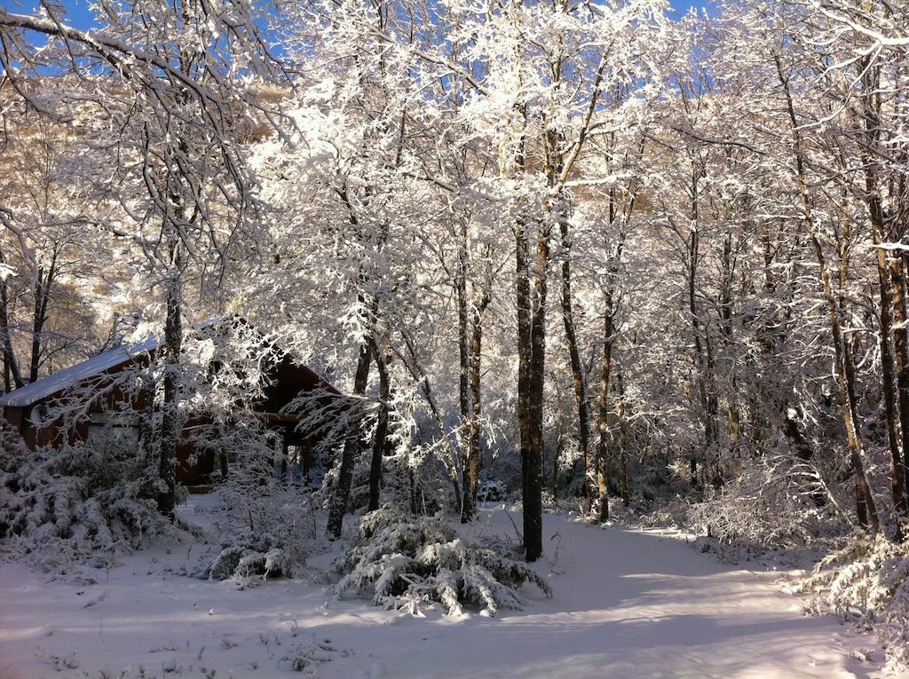 Basecamp Las Trancas Villa Стая снимка