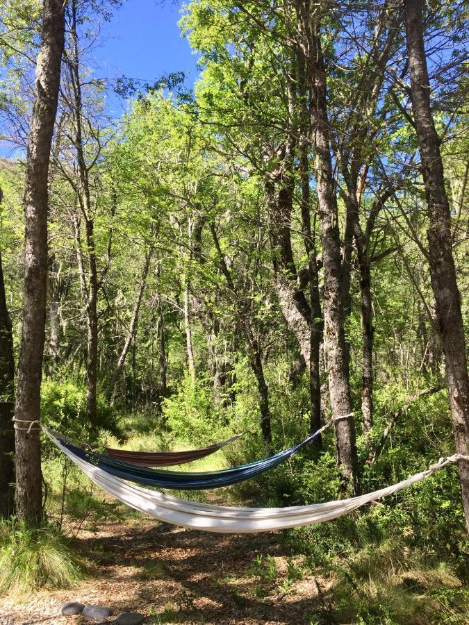 Basecamp Las Trancas Villa Екстериор снимка